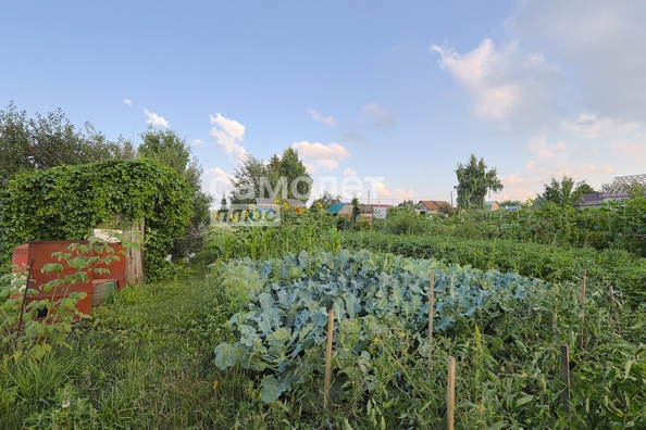 
  Продается дача, 50.4 м², Кемерово
. Фото 36.
