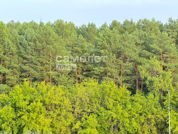 
  Продается 2-комн. квартира, 52.2 м², Серебряный бор ул, д. 25
. Фото 34.