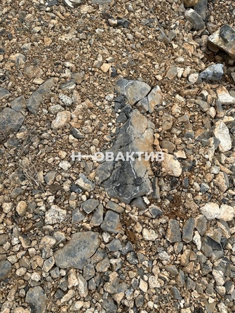 
  Продается земельный участок, 1740 соток, поселок Центральный
. Фото 7.