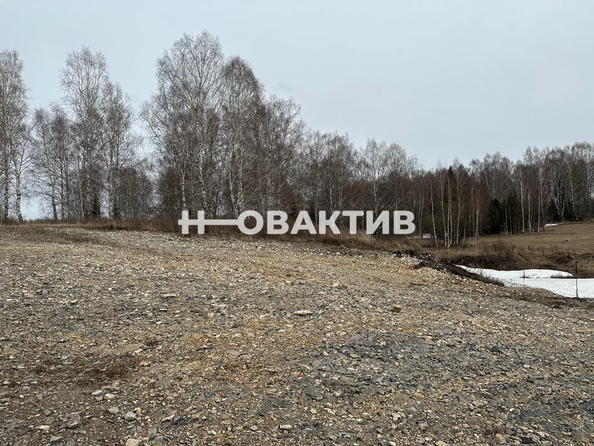 
  Продается земельный участок, 1740 соток, поселок Центральный
. Фото 9.
