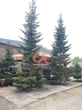 
  Продается готовый бизнес 1400 м². Фото 13.