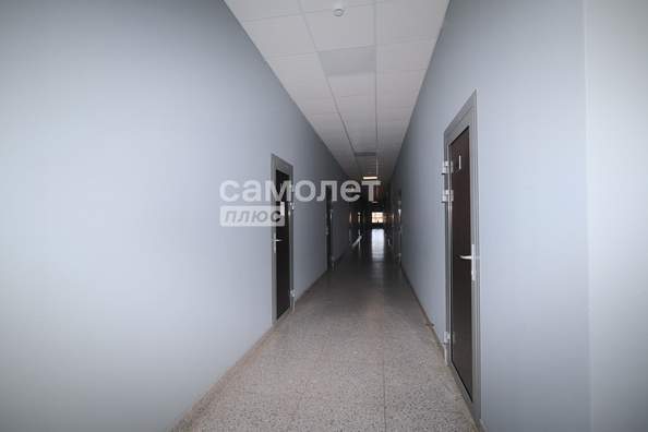 
  Сдается универсальное помещение 40 м². Фото 7.