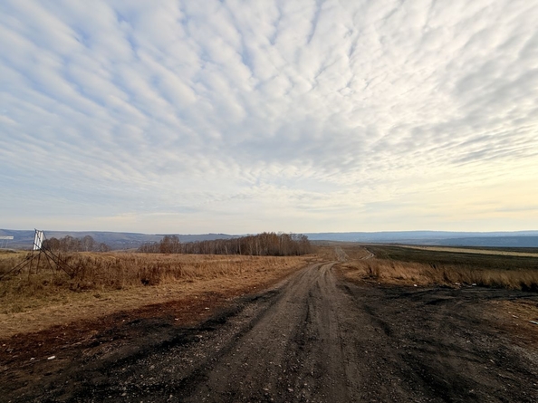 
  Продается земельный участок 14.2 соток. Фото 3.