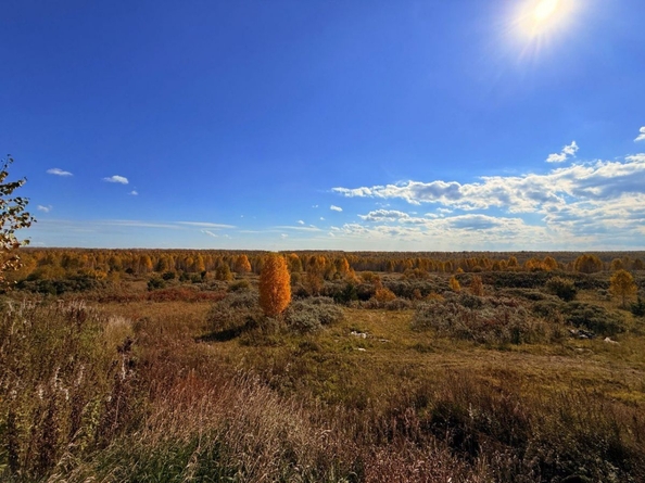 
  Продается земельный участок 15 соток. Фото 5.