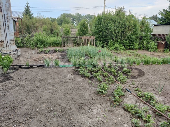 
  Продается дача, 50 м², рабочий поселок Краснообск
. Фото 9.