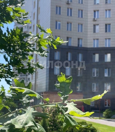 
  Продается студия, 51 м², Шевченко ул, д. 15
. Фото 7.