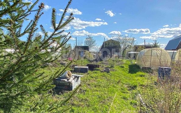 
  Продам дачу, 7.4 соток, Новосибирск

. Фото 9.
