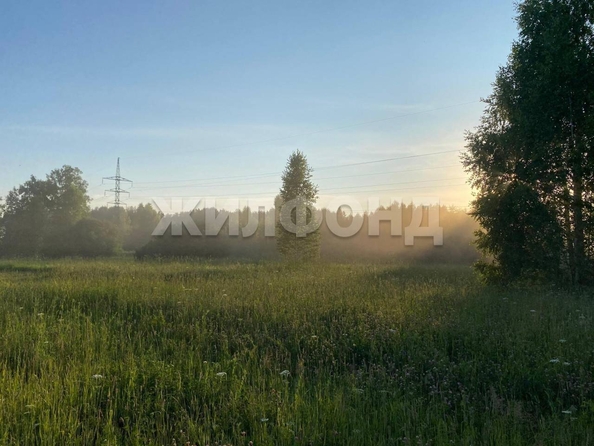 
  Продается земельный участок, 1300 соток, рабочий поселок Мошково
. Фото 8.