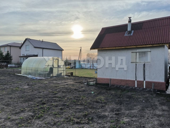 
  Продам  дачный участок, 10 соток, Садовый пос

. Фото 5.