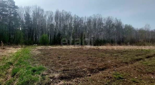 
   Продам дом, 28.4 м², Успенка

. Фото 8.