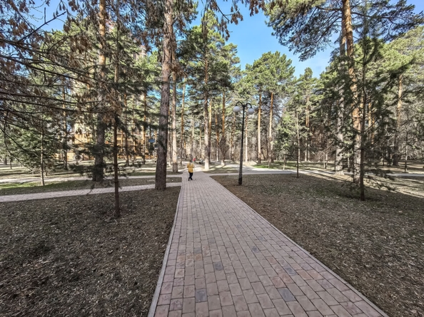 
   Продам 2-комнатную, 42 м², Богдана Хмельницкого ул, 17

. Фото 23.