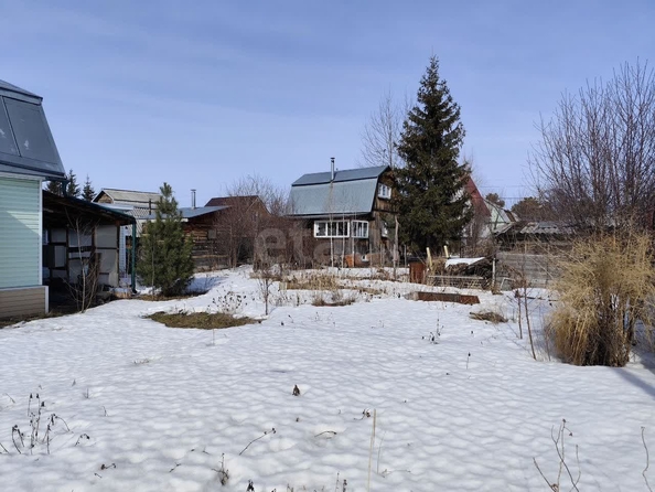 
  Продам дачу, 3.63 соток, Новосибирск

. Фото 17.