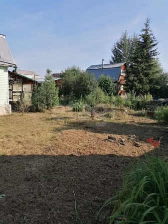 
  Продам дачу, 3.63 соток, Новосибирск

. Фото 21.