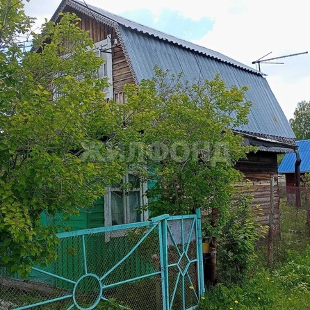 
  Продам дачу, 5 соток, Каменка село

. Фото 6.
