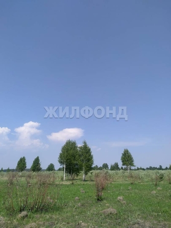 
  Продается земельный участок 185.9 соток. Фото 2.