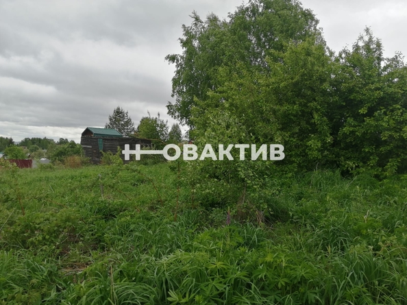 
  Продается земельный участок, 5.5 соток, Новосибирск
. Фото 1.