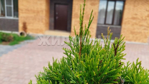 
   Продам дом, 250.1 м², Боровое село

. Фото 27.