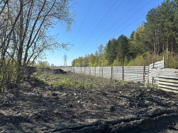 
  Продам  коммерческую землю, 46.59 соток, Новолуговое

. Фото 8.