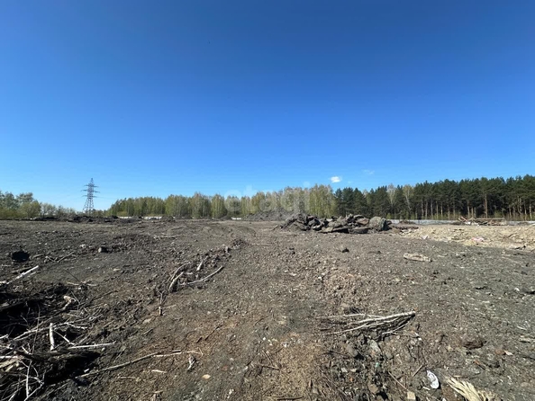 
  Продам  коммерческую землю, 46.59 соток, Новолуговое

. Фото 13.