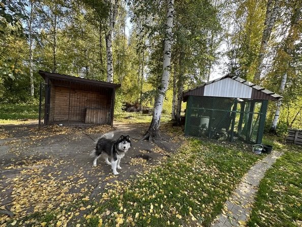 
   Продам дом, 321 м², Марусино село

. Фото 33.