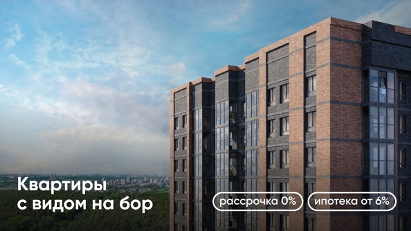 
   Продам 1-комнатную, 41.33 м², Белкин

. Фото 6.