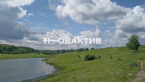 
  Продам  дачный участок, 60 соток, Сокур

. Фото 8.