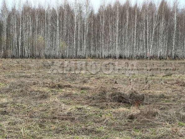 
  Продам  дачный участок, 10 соток, Морозово

. Фото 1.