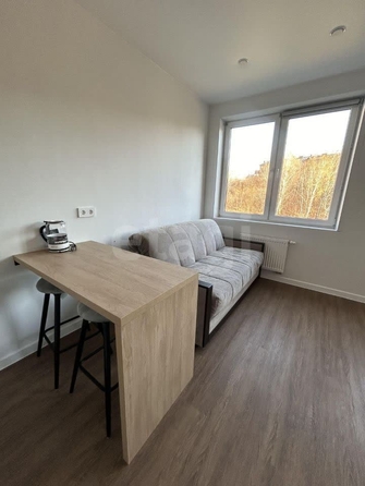 
  Сдам в аренду апартаменты, 30 м², Новосибирск

. Фото 3.