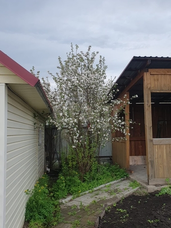 
  Продается дача, 95 м², садовое товарищество Приобье
. Фото 8.