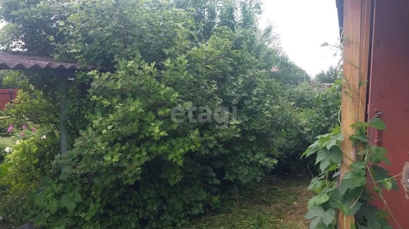 
  Продается дача, 30 м², СНТ Мичуринец
. Фото 6.