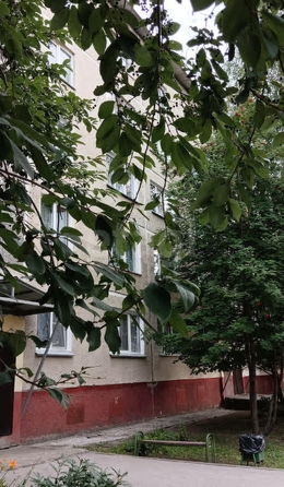 
  Продается 1-комн. квартира, 28.7 м², Палласа ул, д. 5
. Фото 1.
