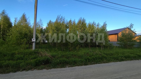 
  Продается земельный участок, 10 соток, поселок Октябрьский
. Фото 3.