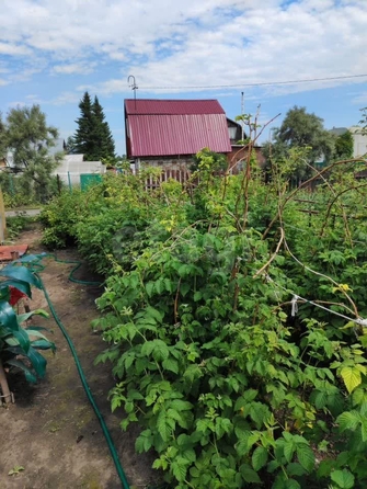 
  Продается дача, 41 м², СНТ Буревестник (Советский р-н)
. Фото 26.