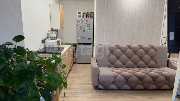 
  Продается студия, 22.4 м², Березовая ул, д. 10
. Фото 2.