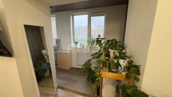 
  Продается студия, 22.4 м², Березовая ул, д. 10
. Фото 7.