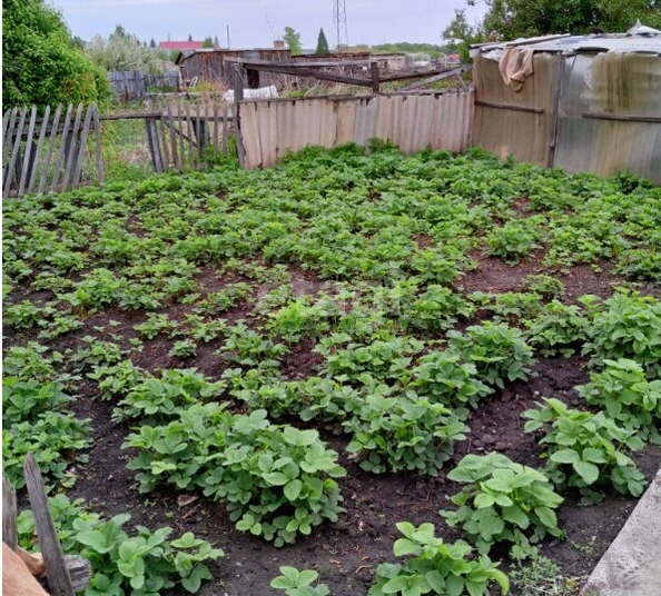 
  Продается дом, 56.9 м², село Улыбино
. Фото 30.