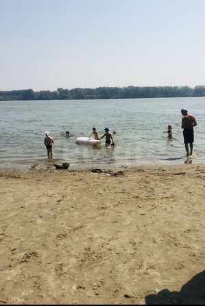 
  Продается дача, 40 м², СНТ Зелёный остров
. Фото 2.
