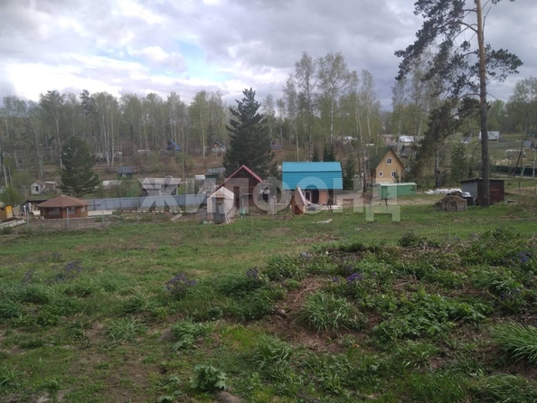 
  Продается земельный участок, 9.99 соток, СНТ Вера (Барышевский сельсовет)
. Фото 2.