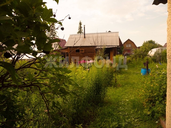 
  Продается дача, 50 м², СНТ Обские зори
. Фото 2.