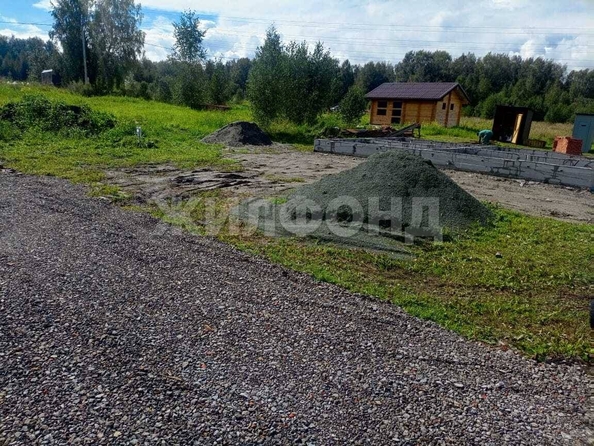 
  Продается земельный участок, 7.24 соток, ДНТ Патриот
. Фото 5.