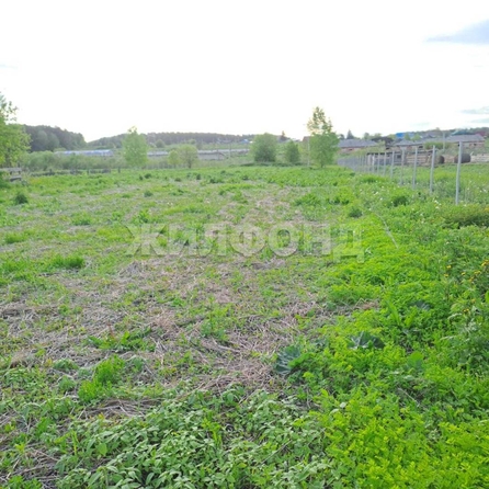 
  Продается дом, 47.8 м², село Усть-Каменка
. Фото 7.