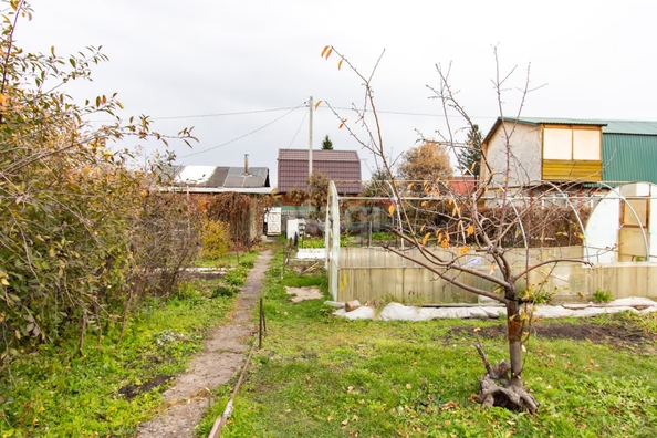 
  Продается дача, 30 м², СНТ Садовод Сибирь-2 (Кировский р-н)
. Фото 8.