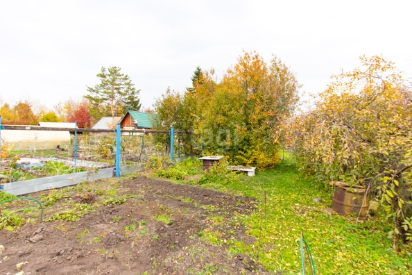 
  Продается дача, 30 м², СНТ Садовод Сибирь-2 (Кировский р-н)
. Фото 10.