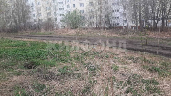 
  Продается земельный участок, 648 соток, садовое товарищество Комета-Берёзка
. Фото 5.