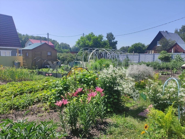 
  Продается дача, 40 м², садовое товарищество Солнечный (Морской сельсовет)
. Фото 10.