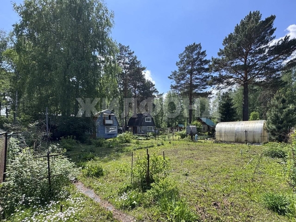 
  Продается дача, 50 м², СНТ Берёзка-2 (Березовский сельсовет)
. Фото 1.