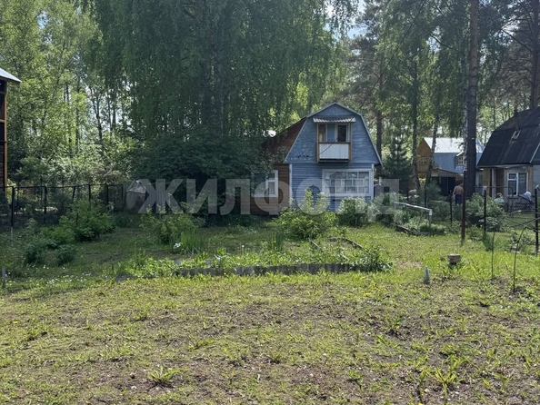 
  Продается дача, 50 м², СНТ Берёзка-2 (Березовский сельсовет)
. Фото 4.