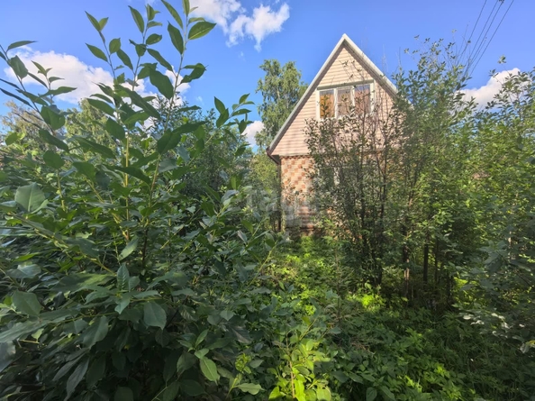 
  Продается дача, 27.7 м², СНТ Яблонька
. Фото 12.