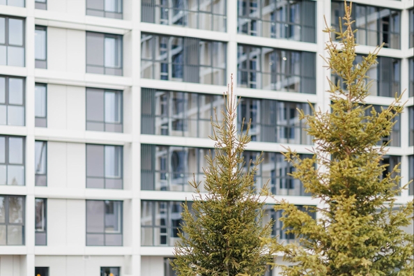 
  Продается 3-комн. квартира, 76.8 м², ЖК Gorizont (Горизонт)
. Фото 7.