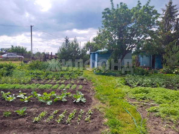 
  Продается земельный участок, 9 соток, село Криводановка
. Фото 4.
